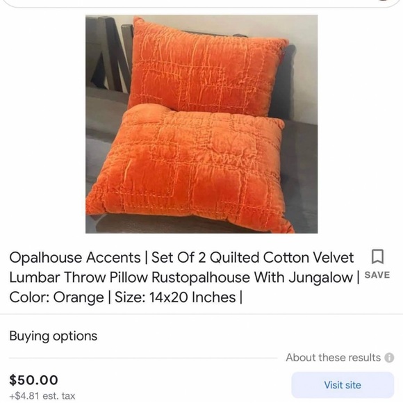 - OPALHOUSE by hungalow set of 2 pillows - Picture 6 of 6